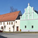 ratejna-repice-01